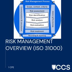 Risk Management Overview (ISO 31000)
