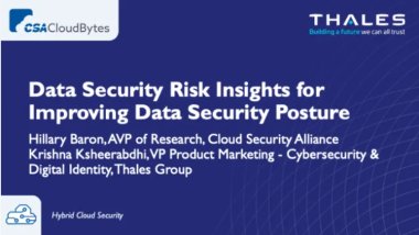Data Security Risk Insights for Improving Data Security Posture