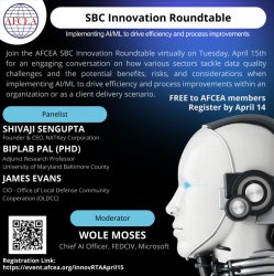 Innovating AI: Artificial Intelligence and the Data Quality Challenge